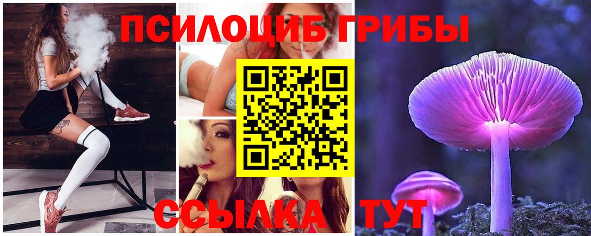 купить закладку  Псилоцибиновые грибы прущие грибы  Вход с VPN  Галлюциногенные грибы MAGIC MUSHROOMS  Елец 